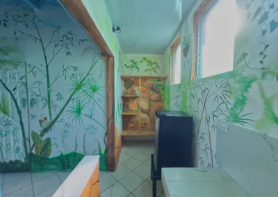 Room La Playa, Cahuita Vibe Hotel